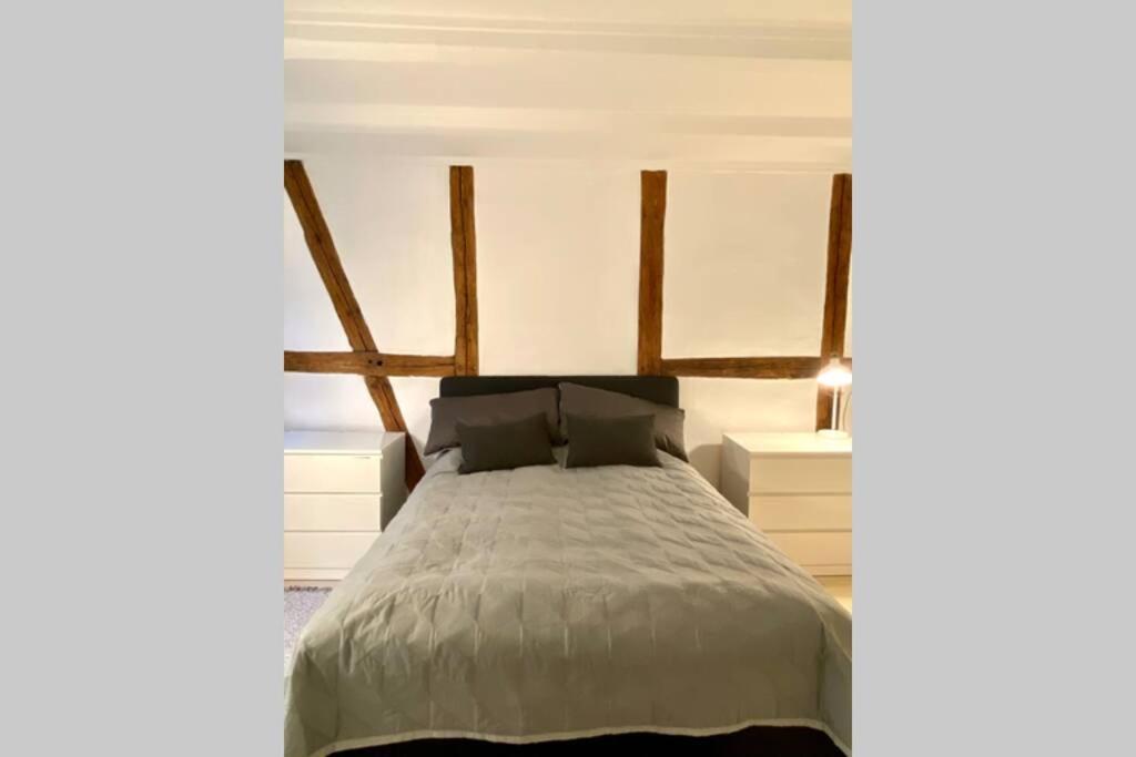 Appartamento Luxury 'Kings Garden' City-Flat In Center Of Town Copenaghen Esterno foto